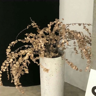 嘉峪关FurryQQ群介绍